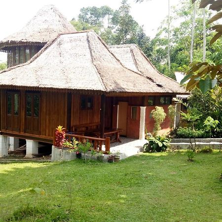 Orangutan Bungalow Bukit Lawang Exterior photo