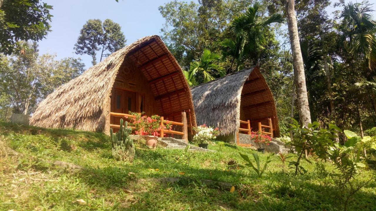 Orangutan Bungalow Bukit Lawang Exterior photo