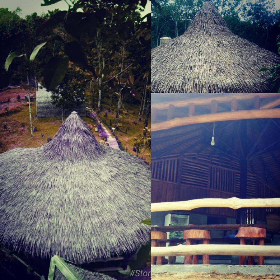 Orangutan Bungalow Bukit Lawang Exterior photo