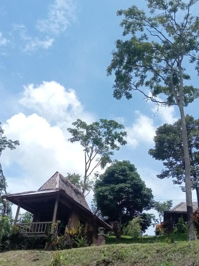 Orangutan Bungalow Bukit Lawang Room photo