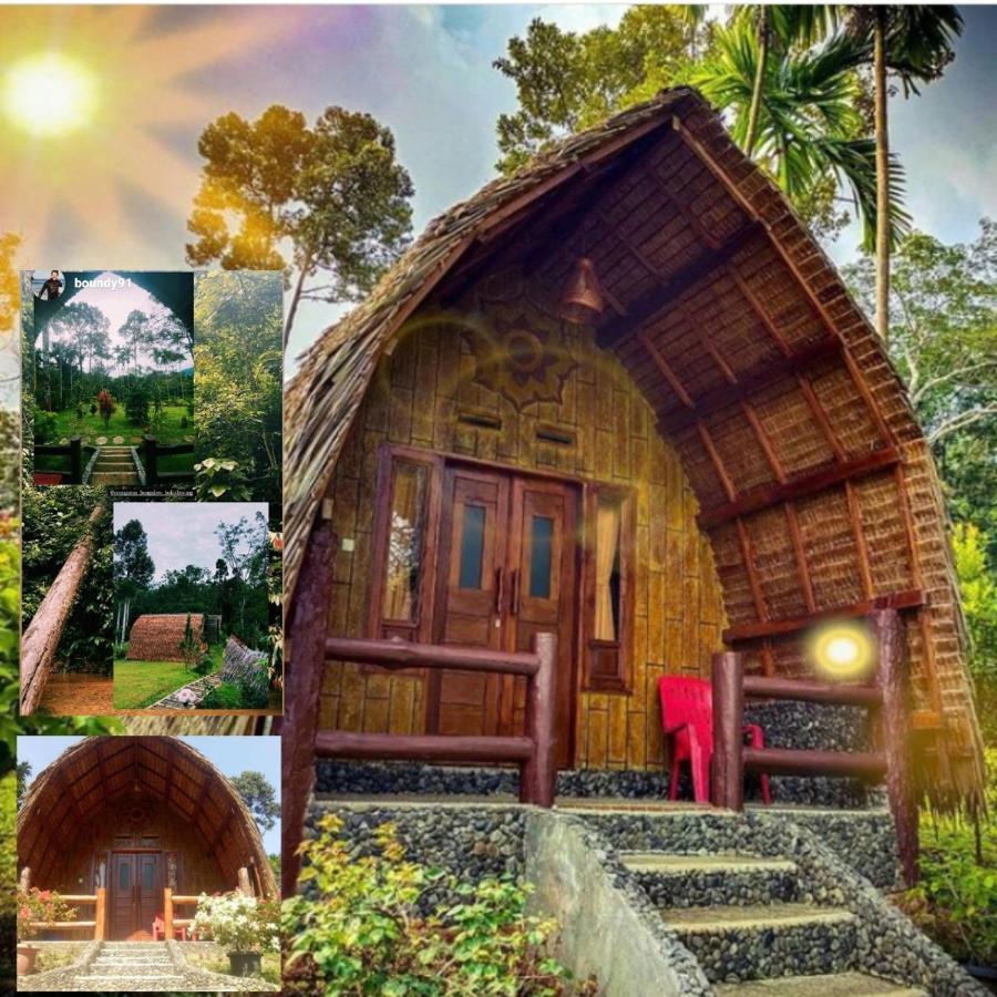 Orangutan Bungalow Bukit Lawang Exterior photo