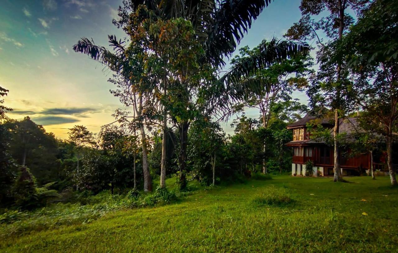 Orangutan Bungalow Bukit Lawang Exterior photo