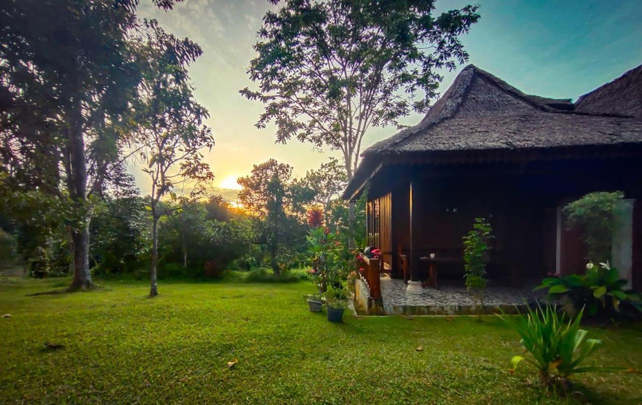 Orangutan Bungalow Bukit Lawang Exterior photo