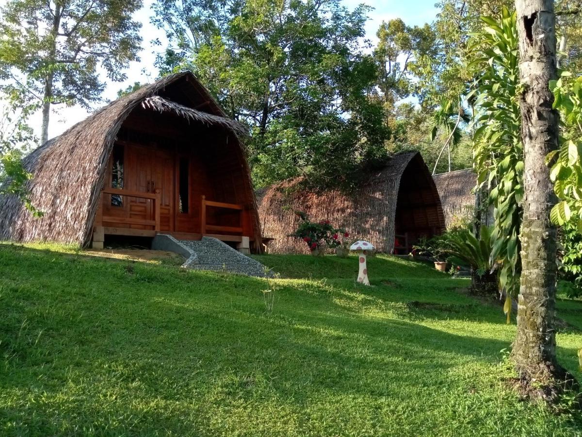 Orangutan Bungalow Bukit Lawang Room photo