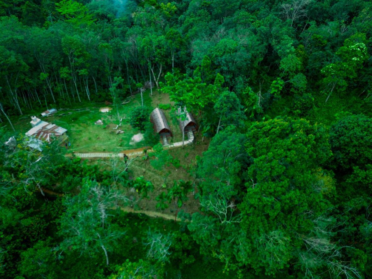 Orangutan Bungalow Bukit Lawang Exterior photo