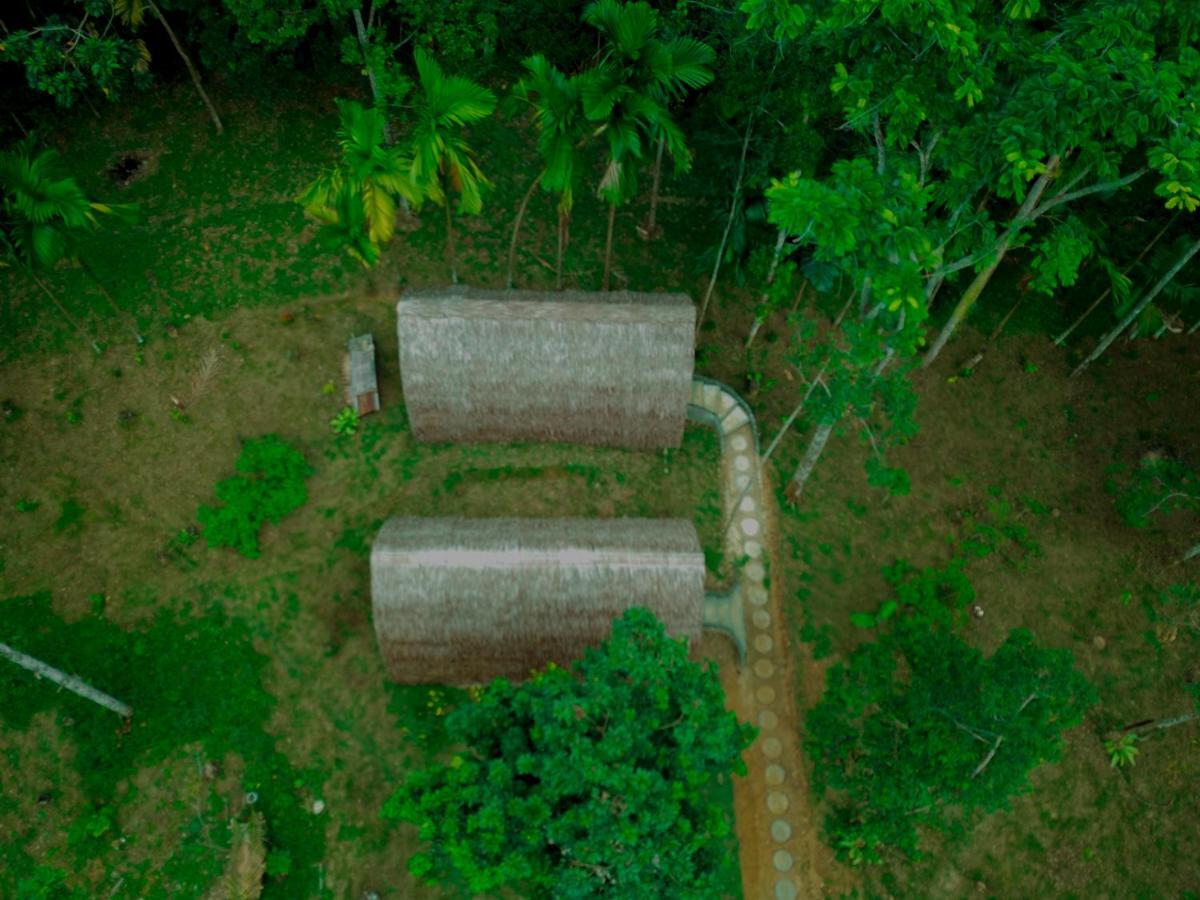 Orangutan Bungalow Bukit Lawang Exterior photo