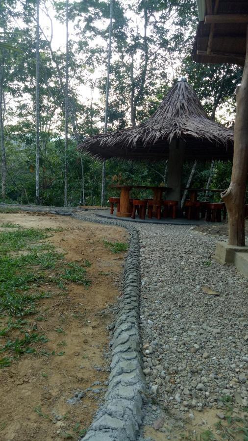 Orangutan Bungalow Bukit Lawang Exterior photo